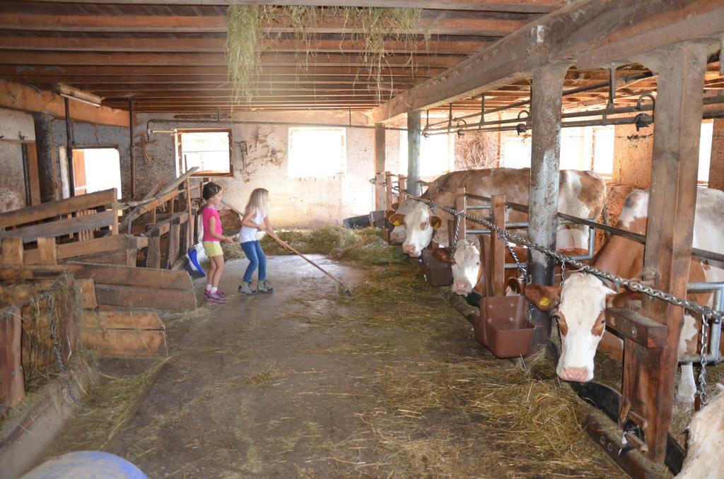 فيلا Baerntalerhof فالزيس المظهر الخارجي الصورة